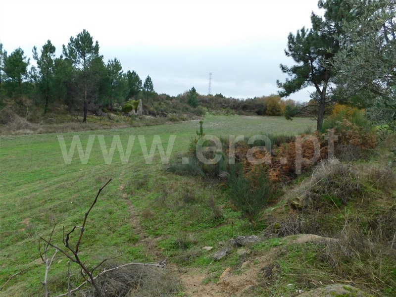 Quinta  Fundão, Atalaia do Campo - 1082190 - 19