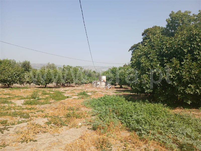 Quinta  Fundão, Atalaia do Campo - 1500218 - 3