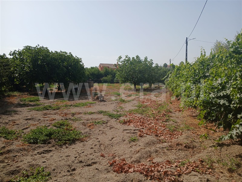 Quinta  Fundão, Atalaia do Campo - 1500218 - 4