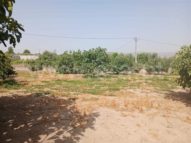 Quinta  Fundão, Atalaia do Campo - 1500218 - 7