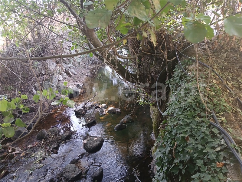 Quinta  Fundão, Atalaia do Campo - 1500218 - 17