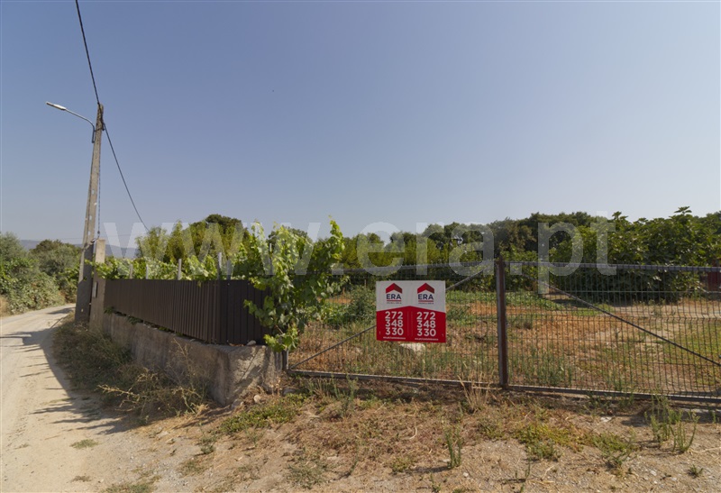 Quinta / Fundão, Atalaia do Campo