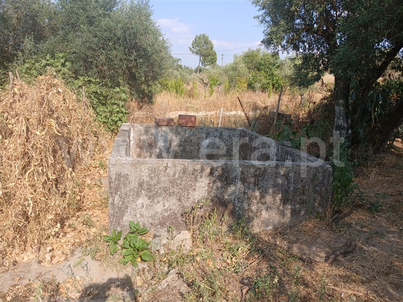 Quinta  Fundão, Atalaia do Campo - 1502778 - 6