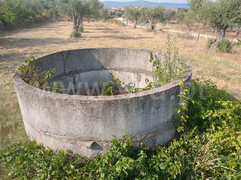 Quinta  Fundão, Atalaia do Campo - 1502778 - 7