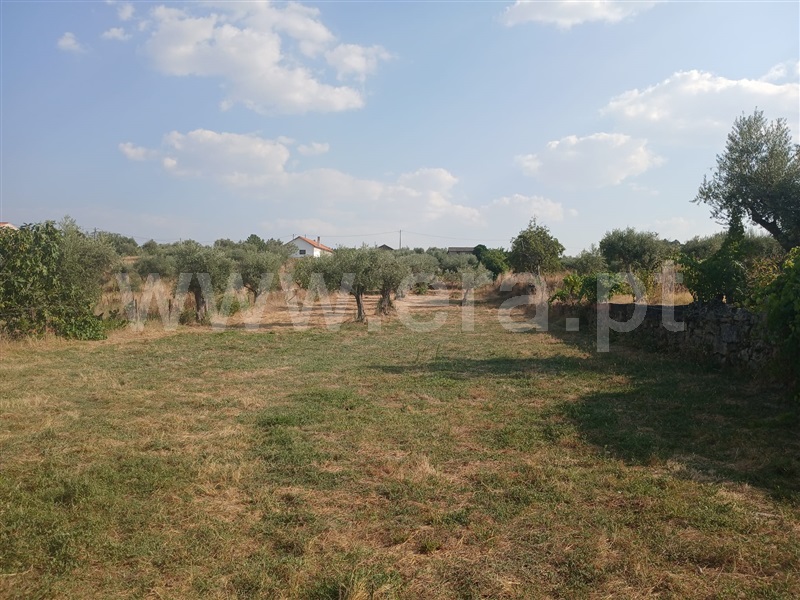 Quinta  Fundão, Atalaia do Campo - 1502778 - 9