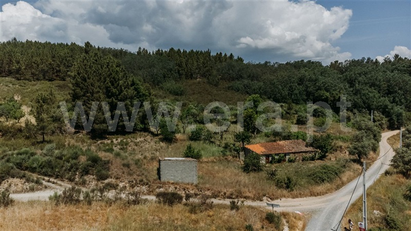 Quinta  Fundão, Castelejo - 1330177 - 3