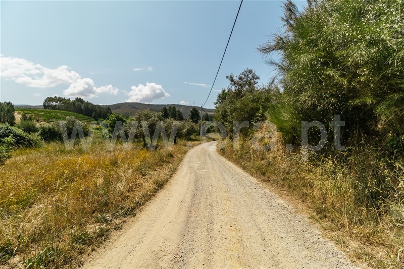 Quinta  Fundão, Castelejo - 1330177 - 4