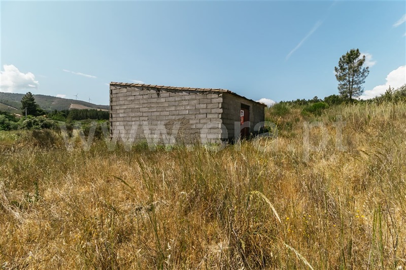 Quinta  Fundão, Castelejo - 1330177 - 6