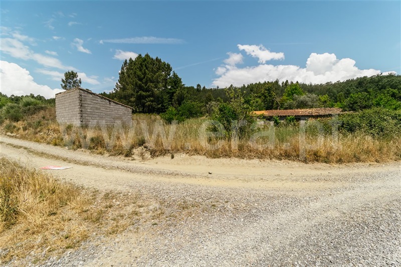 Quinta  Fundão, Castelejo - 1330177 - 7
