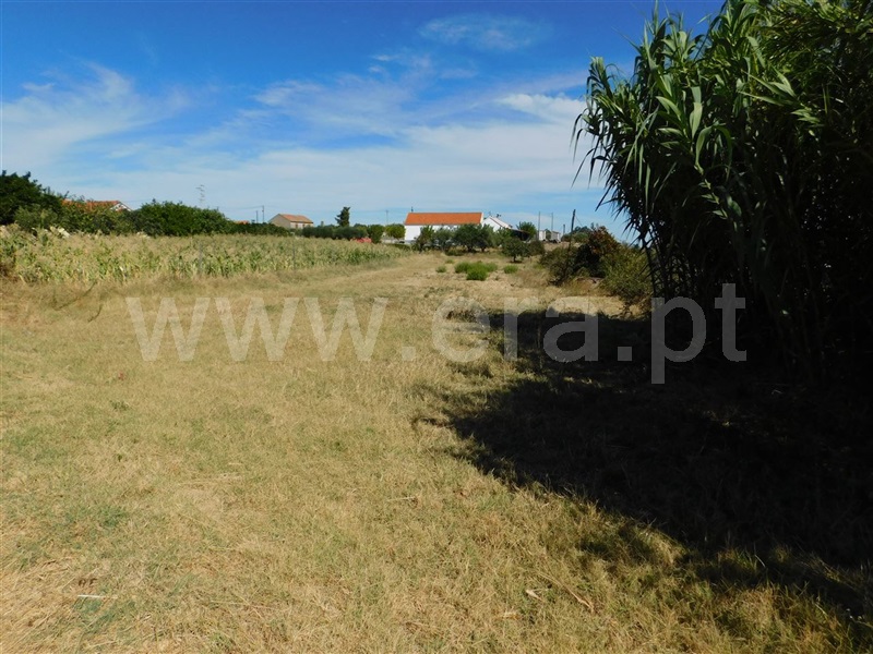Quinta  Fundão, Catrão - 1118727 - 3