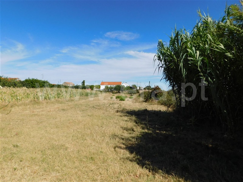Quinta  Fundão, Catrão - 1118727 - 4