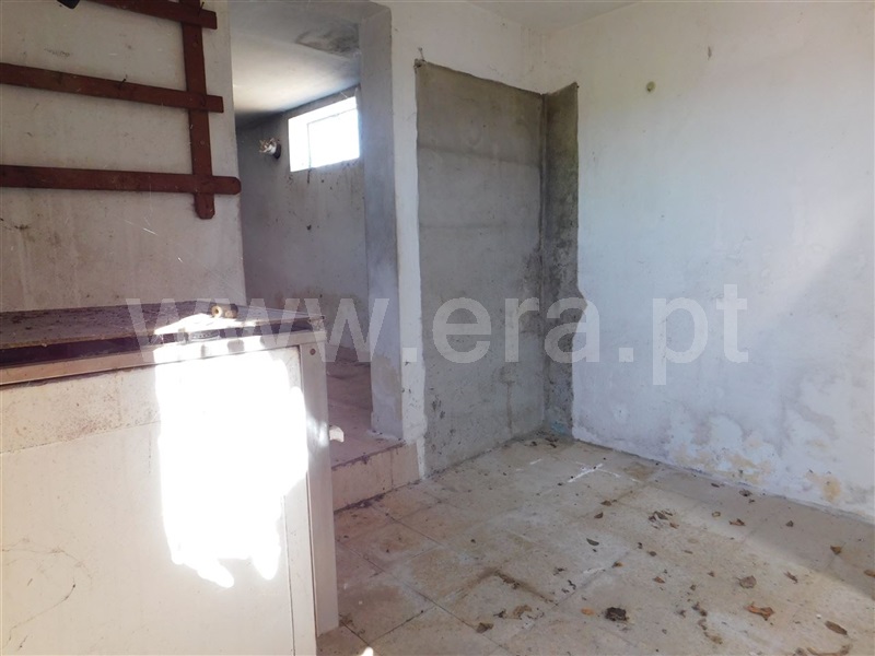Quinta  Fundão, Catrão - 1118727 - 12
