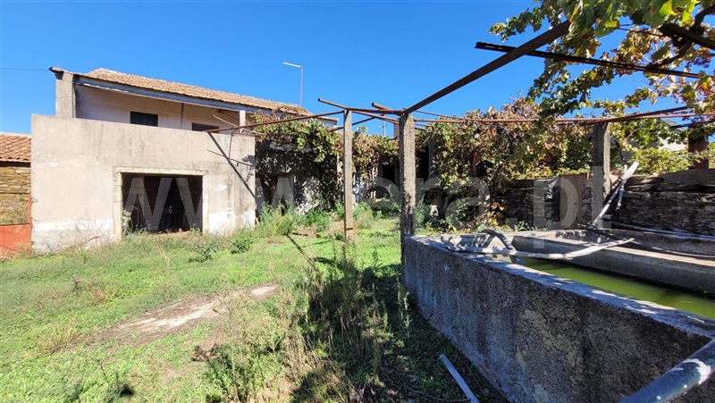 Quinta / Fundão, Enxames