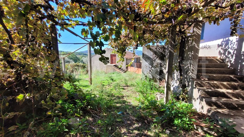 Terreno Rústico  Fundão, Enxames - 1277924 - 16