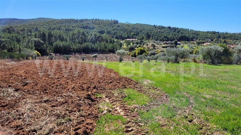Terreno Rústico  Fundão, Enxames - 1277924 - 39