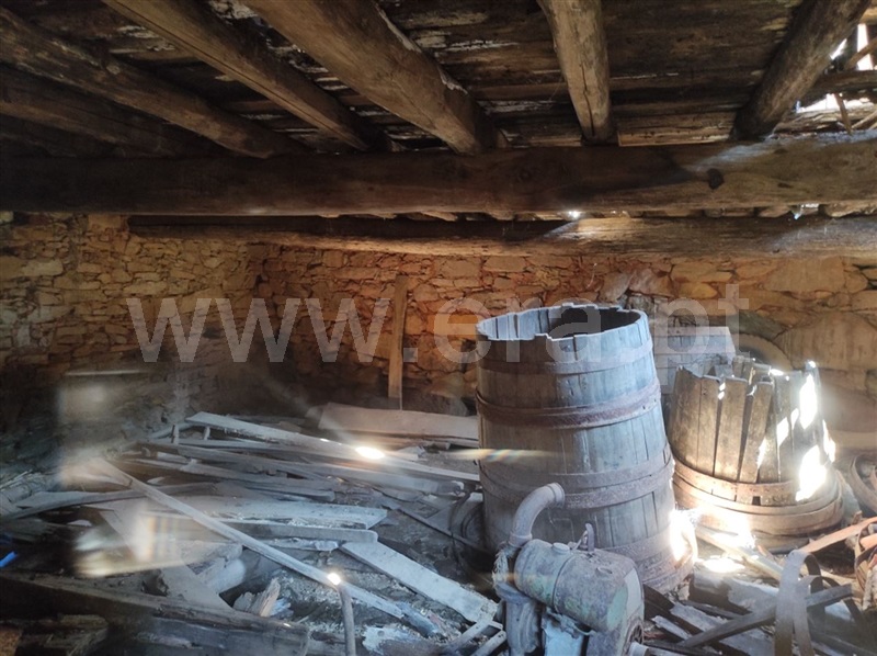Quinta  Fundão, Enxames - 1280930 - 2