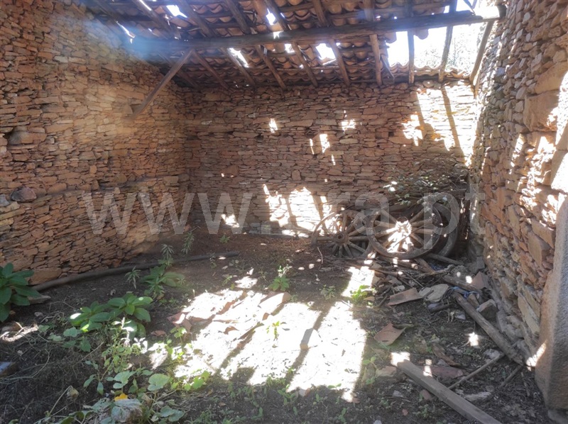 Quinta  Fundão, Enxames - 1280930 - 3