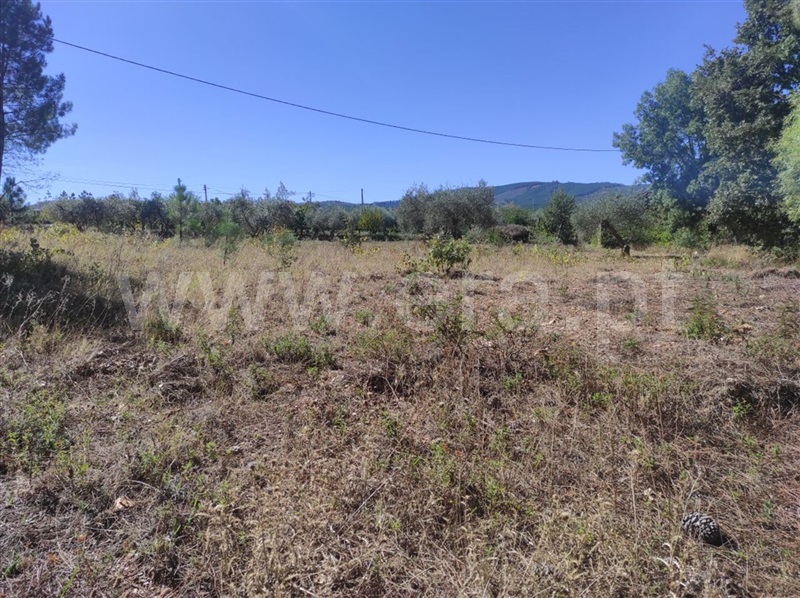 Quinta  Fundão, Enxames - 1280930 - 7