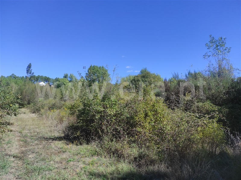 Quinta  Fundão, Enxames - 1280930 - 8