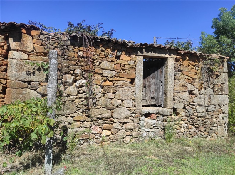 Quinta  Fundão, Enxames - 1280930 - 12