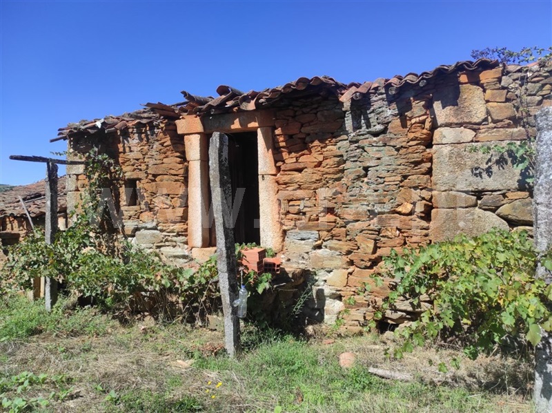 Quinta  Fundão, Enxames - 1280930 - 13