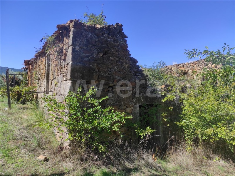 Quinta  Fundão, Enxames - 1280930 - 14