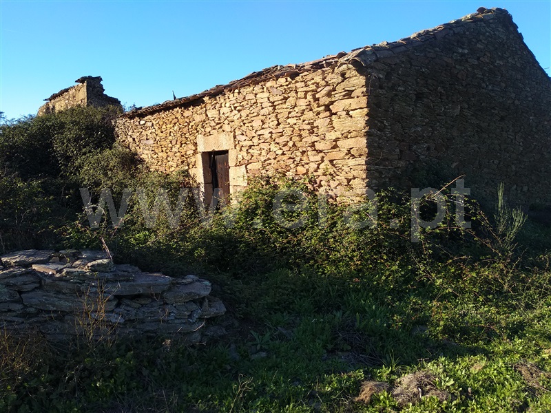 Quinta  Fundão, Enxames - 1365280 - 1