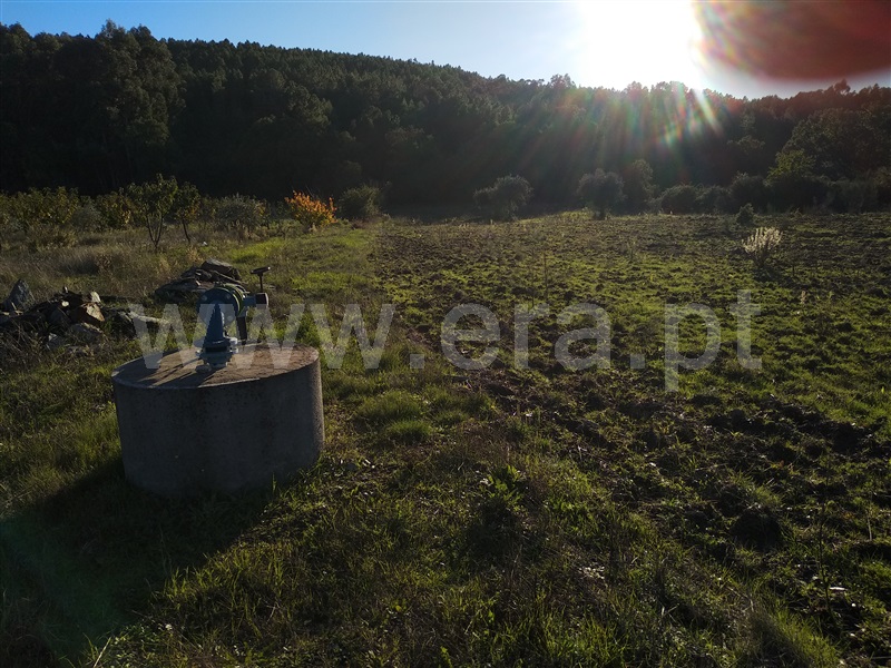 Quinta  Fundão, Enxames - 1365280 - 3