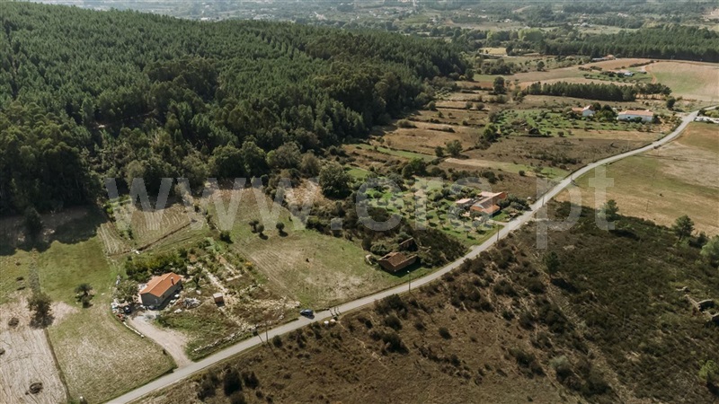 Quinta  Fundão, Enxames - 1365280 - 4