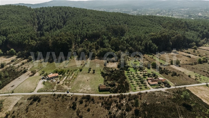 Quinta  Fundão, Enxames - 1365280 - 5