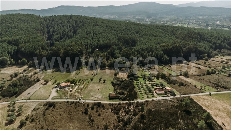 Quinta  Fundão, Enxames - 1365280 - 6