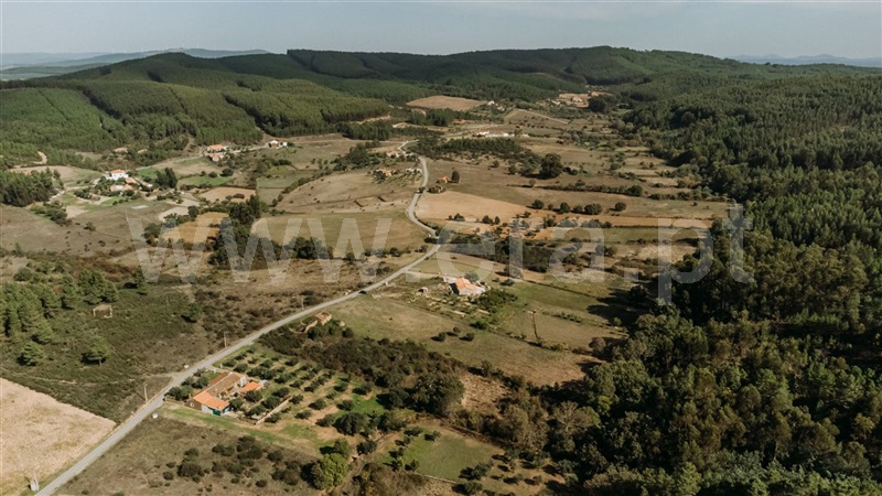 Quinta  Fundão, Enxames - 1365280 - 9