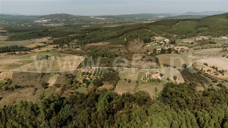 Quinta  Fundão, Enxames - 1365280 - 10