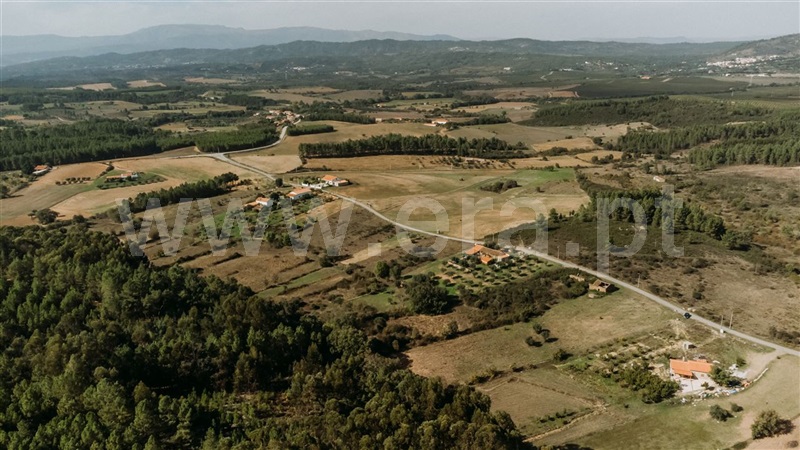 Quinta  Fundão, Enxames - 1365280 - 11