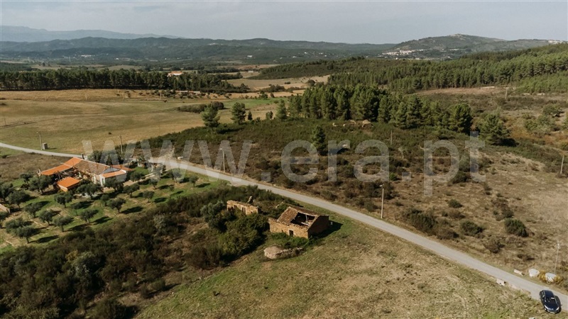 Quinta  Fundão, Enxames - 1365280 - 13