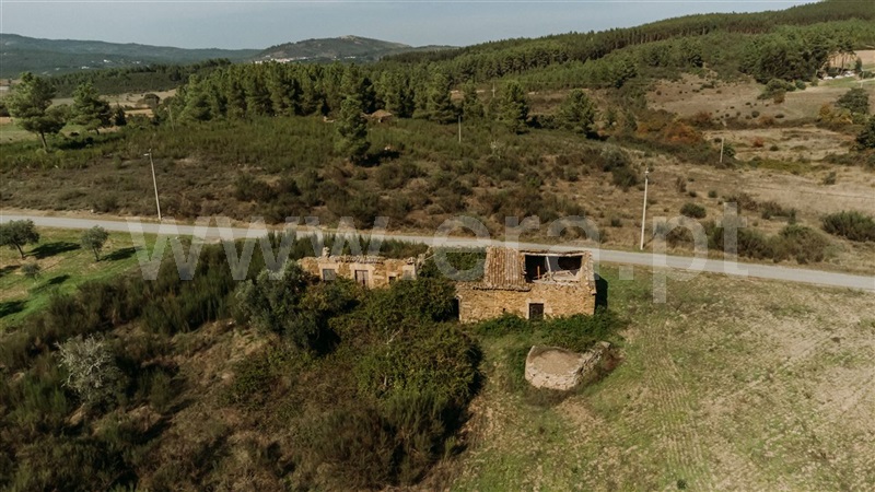 Quinta  Fundão, Enxames - 1365280 - 15