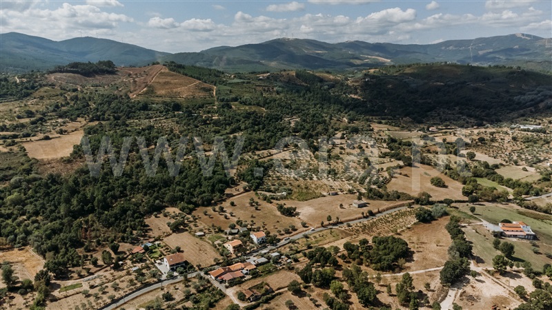 Quinta  Fundão, Freixial - 1420173 - 12