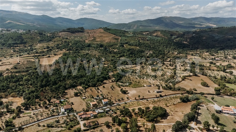 Quinta  Fundão, Freixial - 1420173 - 13