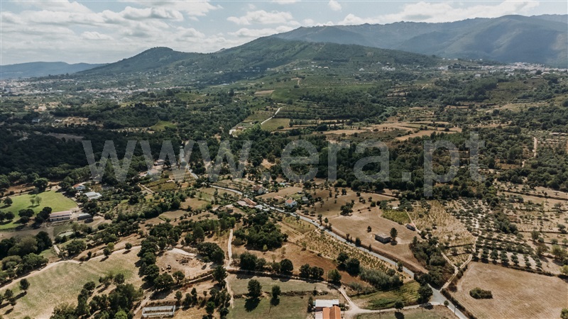Quinta  Fundão, Freixial - 1420173 - 15