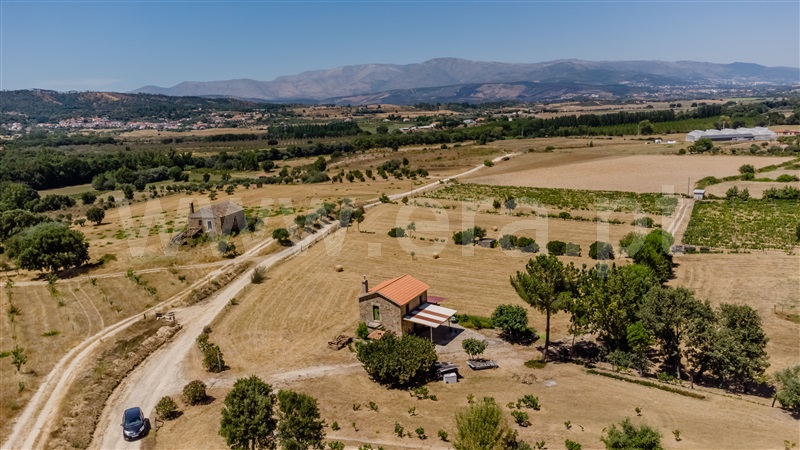 Quinta / Fundão, Fundão, Valverde, Donas, Aldeia de Joanes e Aldeia Nova do Cabo