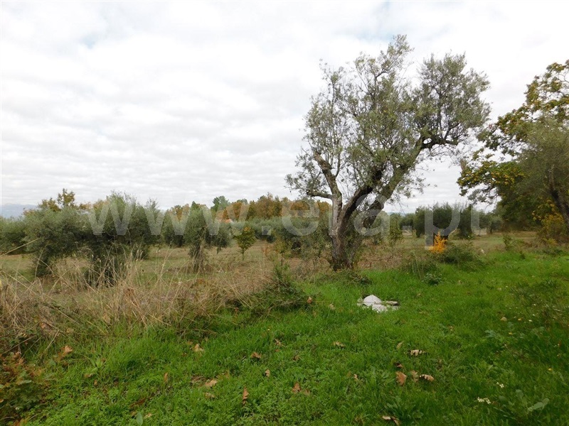 Quinta / Fundão, Fundão, Valverde, Donas, Aldeia de Joanes e Aldeia Nova do Cabo