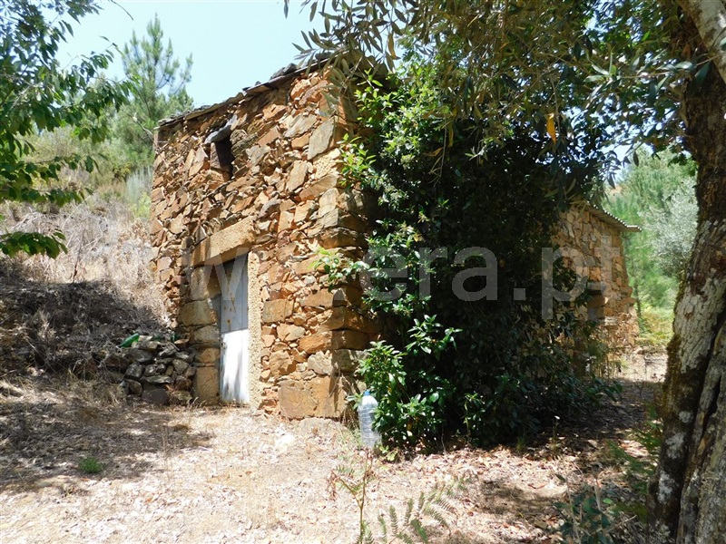 Quinta / Fundão, Lavacolhos