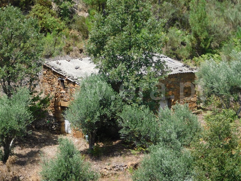Quinta  Fundão, Lavacolhos - 1342969 - 3