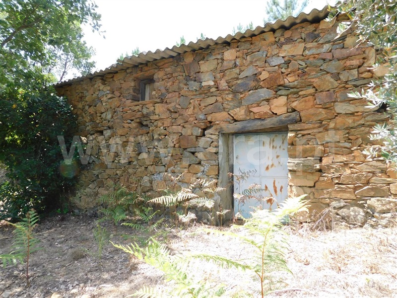 Quinta  Fundão, Lavacolhos - 1342969 - 4