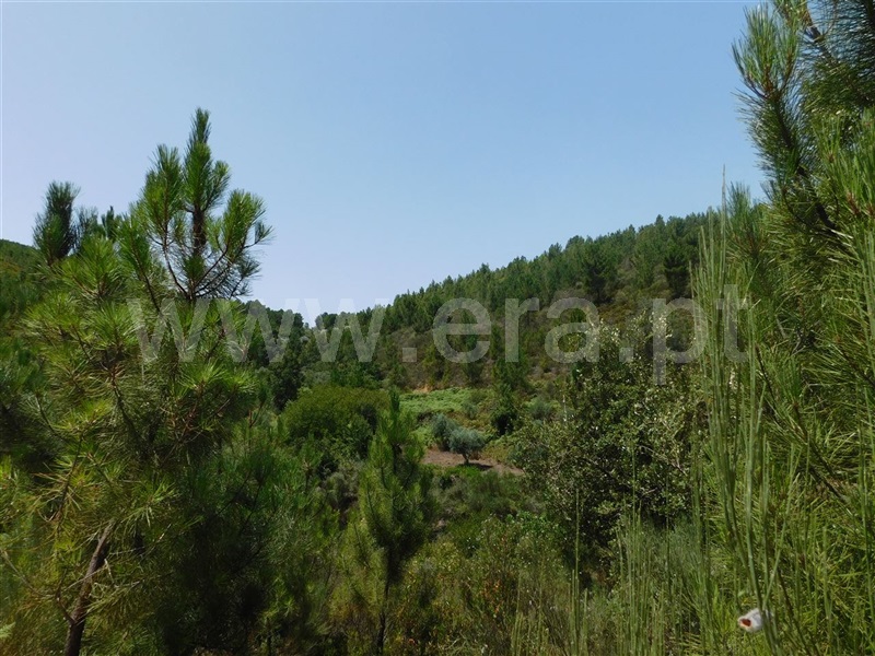 Quinta  Fundão, Lavacolhos - 1342969 - 6