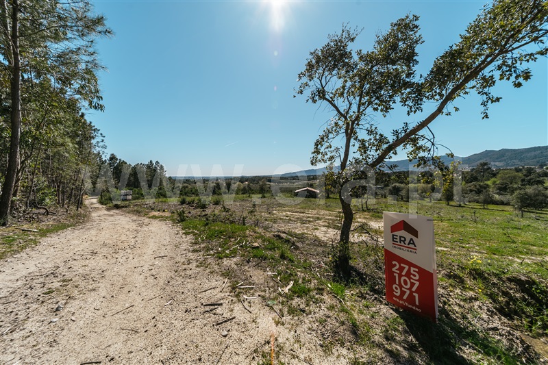 Quinta  Fundão, Monte Leal - 1458036 - 18