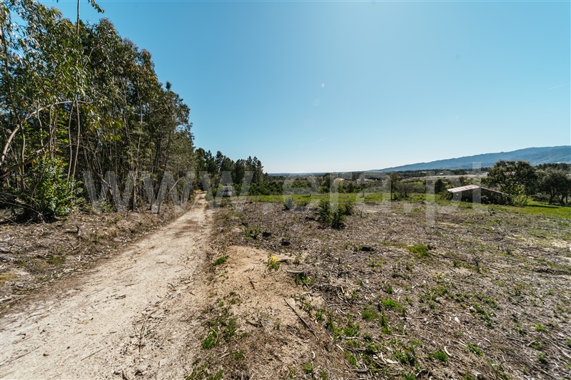 Quinta  Fundão, Monte Leal - 1458036 - 20