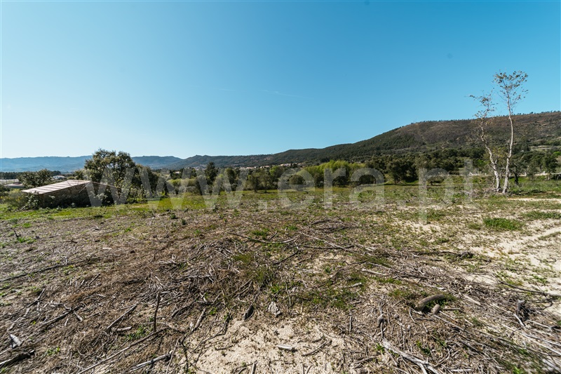 Quinta  Fundão, Monte Leal - 1458036 - 21