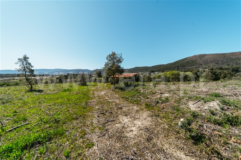 Quinta  Fundão, Monte Leal - 1458036 - 22