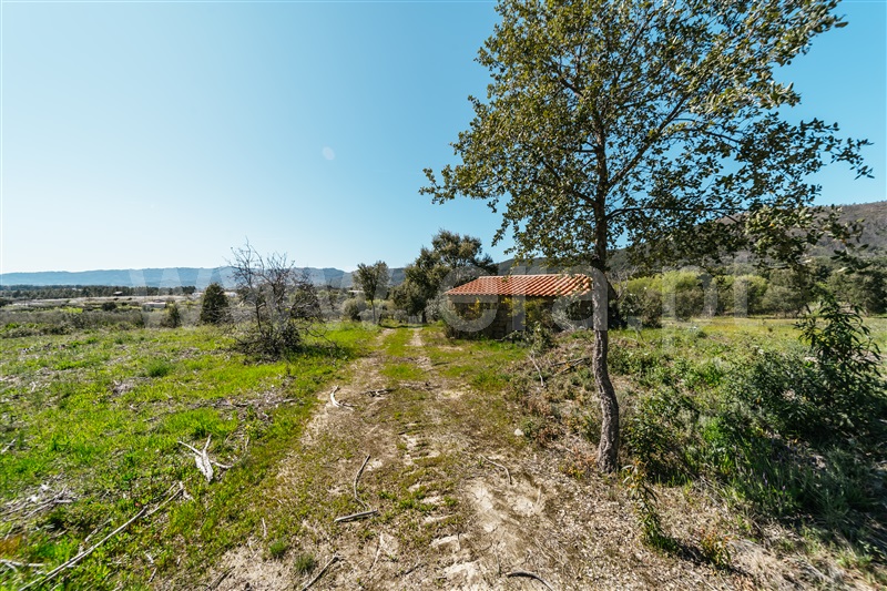Quinta  Fundão, Monte Leal - 1458036 - 23